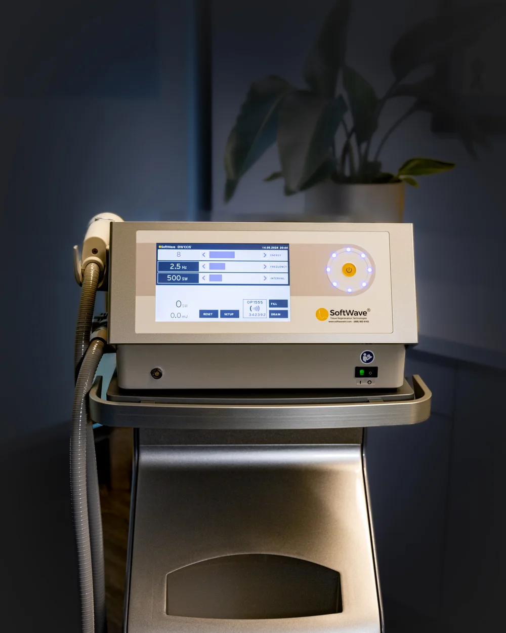 SoftWave regenerative therapy for stubborn pain at Eagle Trace Spine & Sport in Burnsville